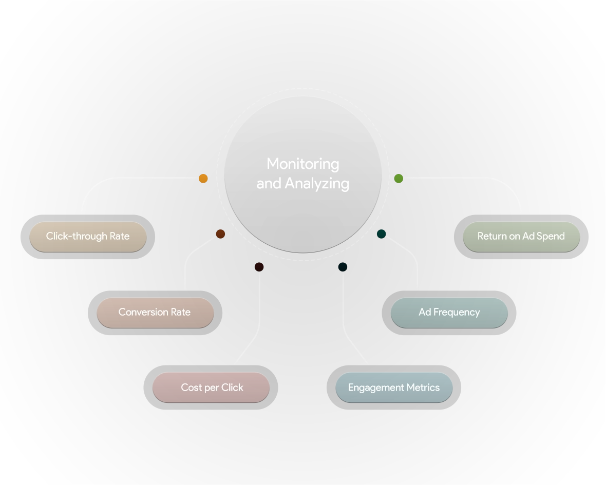 paid ad monitoring and analyzing